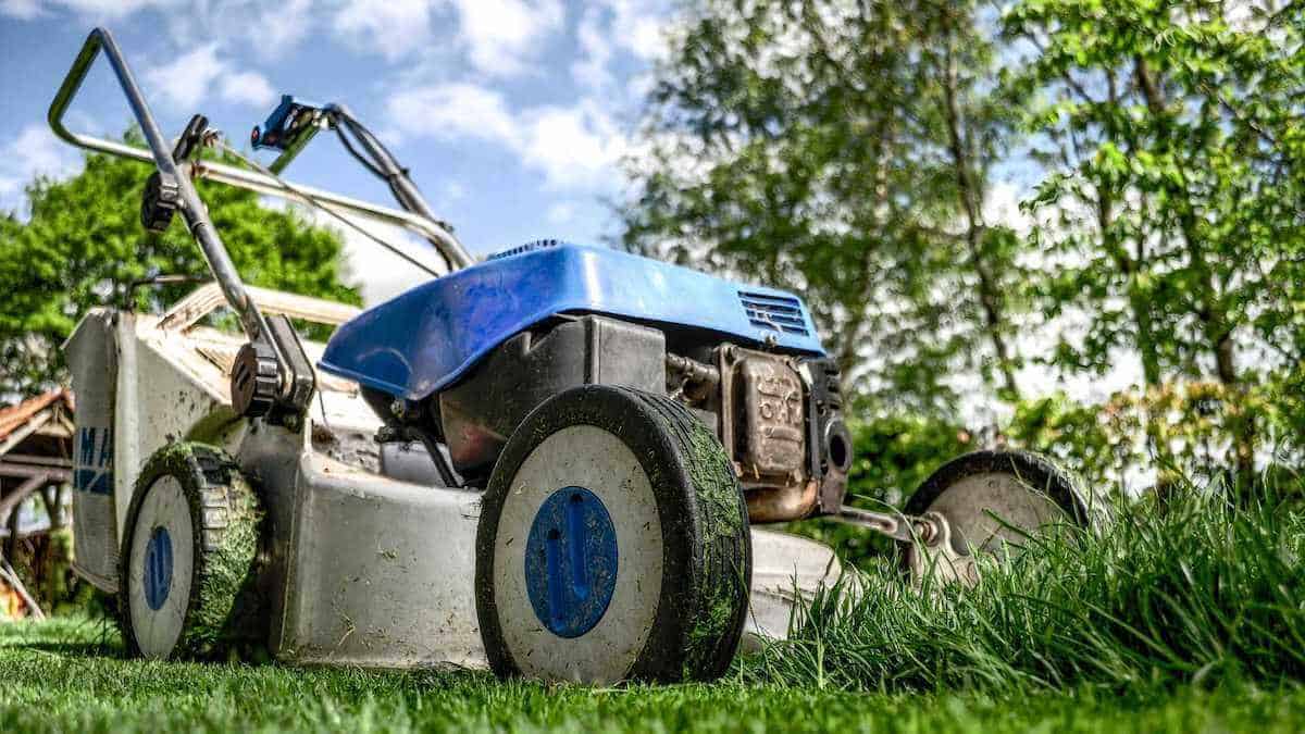 5 Easy Ways To Start a Landscaping Business in College